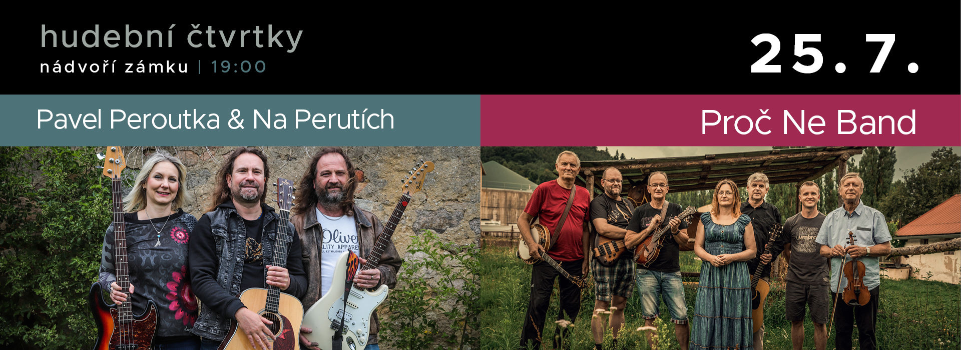 Pavel Peroutka & Na Perutích /  Proč Ne Band