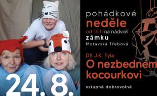O nezbedném kocourkovi – DS J. K. Tyla